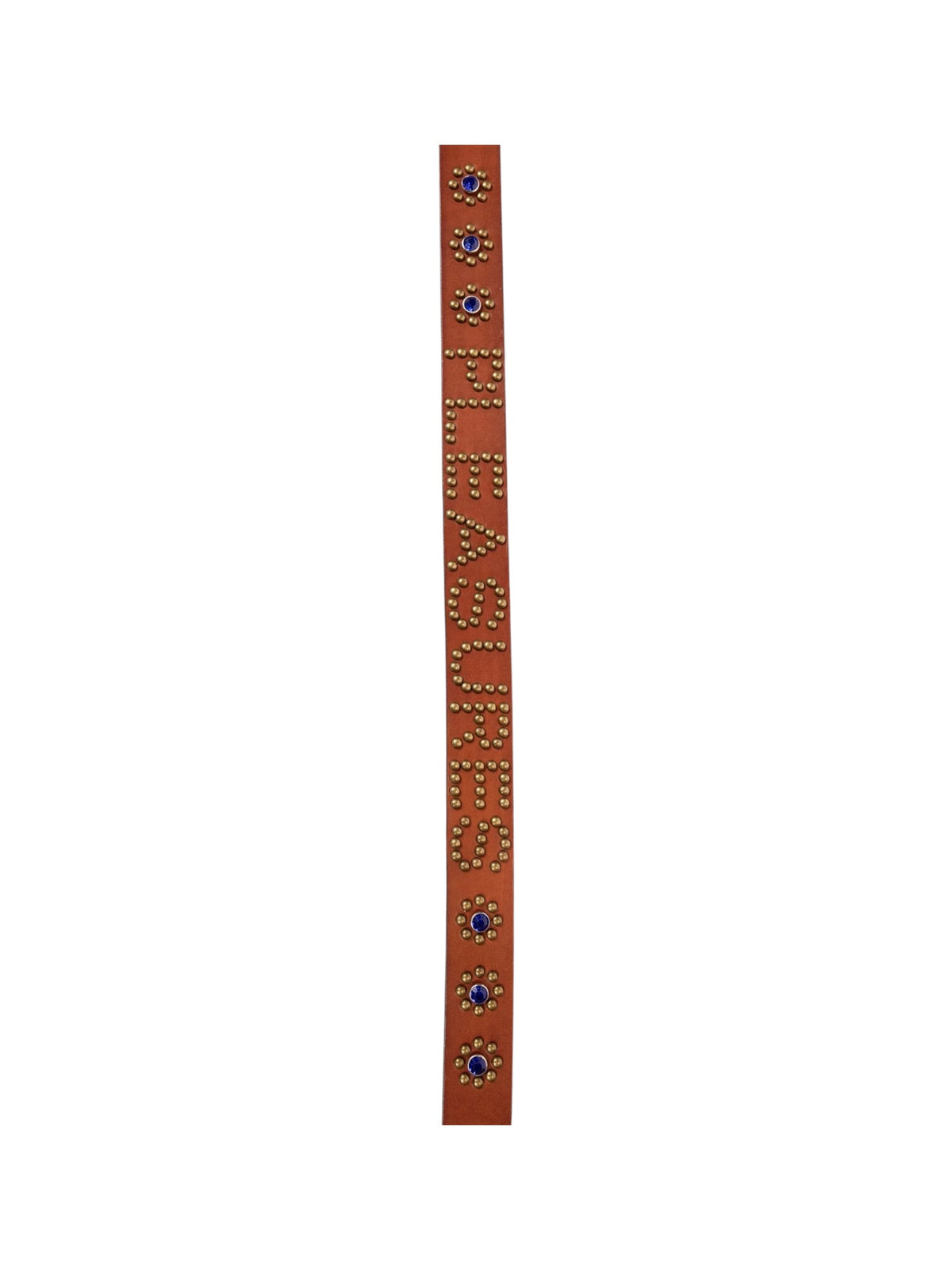 Pleasures P26F039 Pleasures Studded Belt BRN
