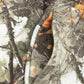 Off-White Printed Camo Jogger Camo