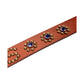 Pleasures P26F039 Pleasures Studded Belt BRN
