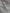 Probus Adults Only AO26008 Taste Style Sky Blue Adults Only AO26008 Taste Style Sky Blue SKY BLUE
