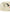 Probus All Human Maybe Tomorrow v3 All Human Maybe Tomorrow v3 CREAM/WHITE