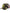 Probus All Human Paid In Full Camo All Human Paid In Full Camo CAMO