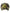 Probus All Human Paid In Full Camo All Human Paid In Full Camo CAMO