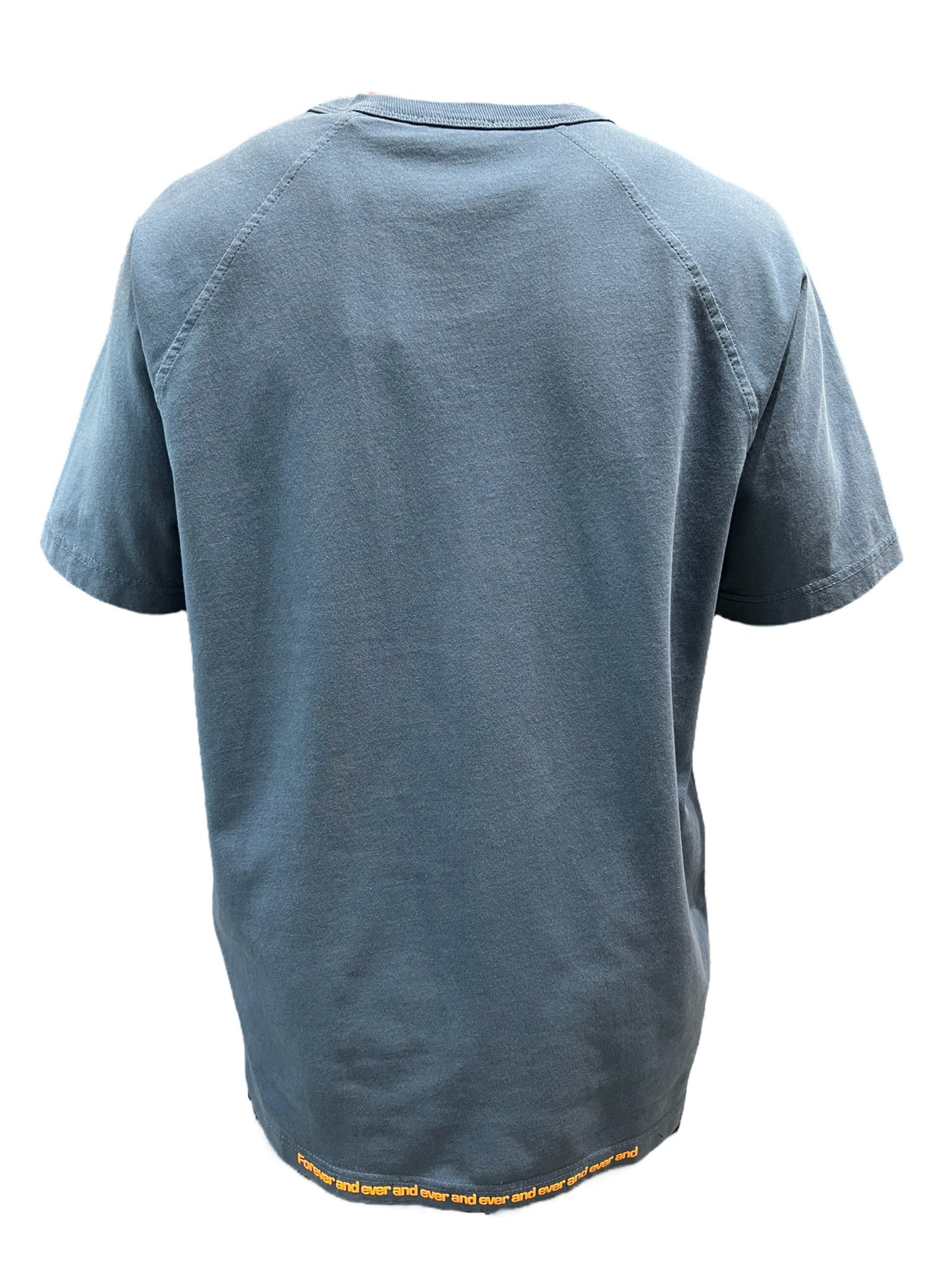 Plain teal DIESEL T-RUST t-shirt displayed from the back on a black background.