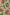 Scattered playing cards with face card designs on a patterned green background, featured in the Drole de Monsieur D-BS141-PL136 Le Short Plage Jeu de Cartes GN swim shorts' card game print with an elastic waist and drawstring.