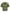 Probus Duaa Combat Tee Olive Duaa Combat Tee Olive OLIVE