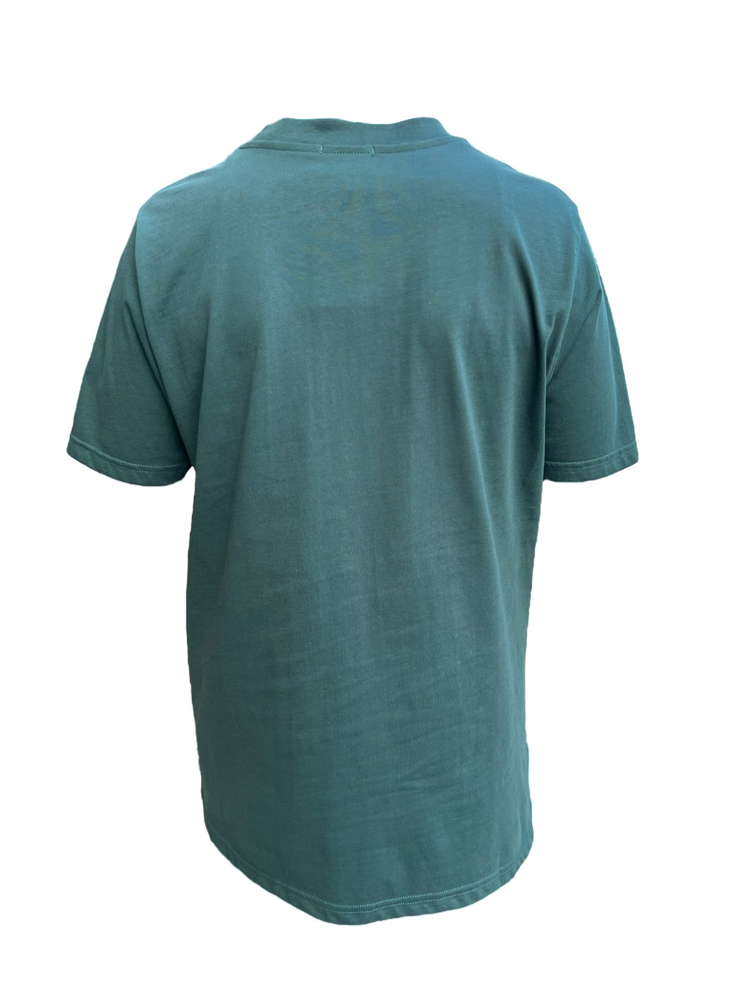 Back view of the FAMILY FIRST TS2407 T-SHIRT SWAN GR in plain green, featuring "FAMILY FIRST" elegantly printed on it, set against a white background.