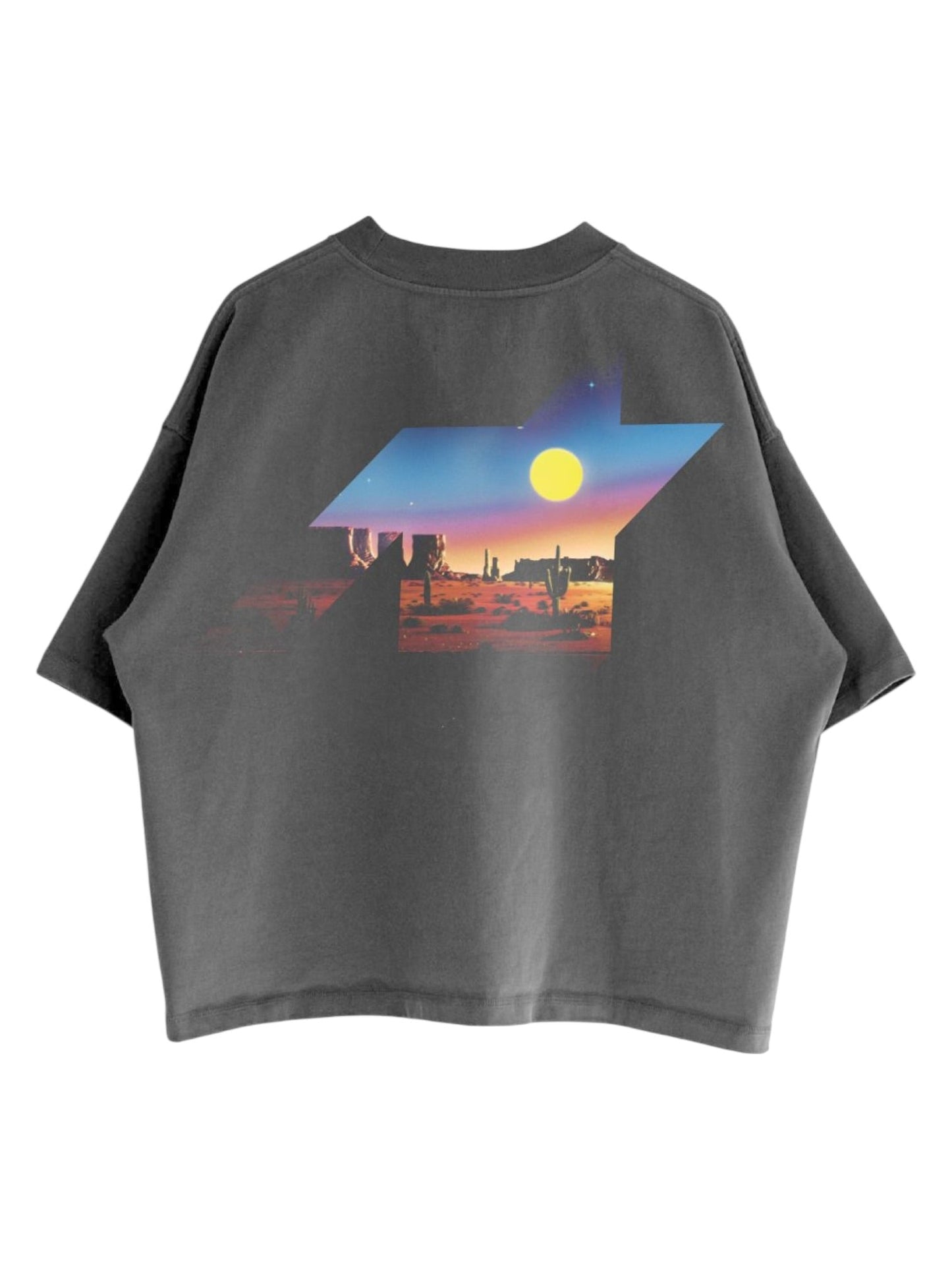 Free Refills Davidson Tee (FR-S26-049)  Vtg Grey