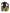 Probus Guapi Olive Green Destroyed Plaid Bomber Guapi Olive Green Destroyed Plaid Bomber GREEN