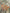 Probus Off-White Printed Camo Jogger Camo Off-White Printed Camo Jogger Camo S