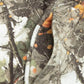 Probus Off-White Printed Camo Jogger Camo Off-White Printed Camo Jogger Camo S