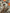 Probus Off-White Printed Camo Jogger Camo Off-White Printed Camo Jogger Camo S
