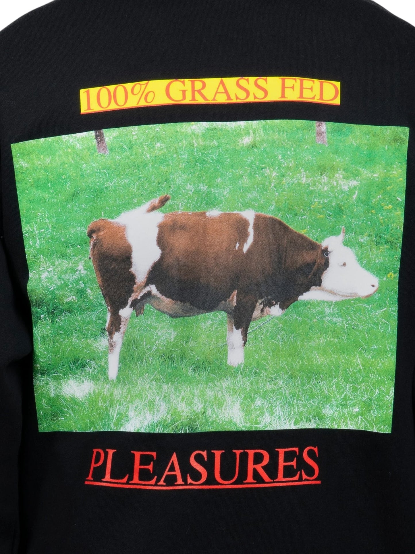 Pleasures Grass Fed Hoodie Black