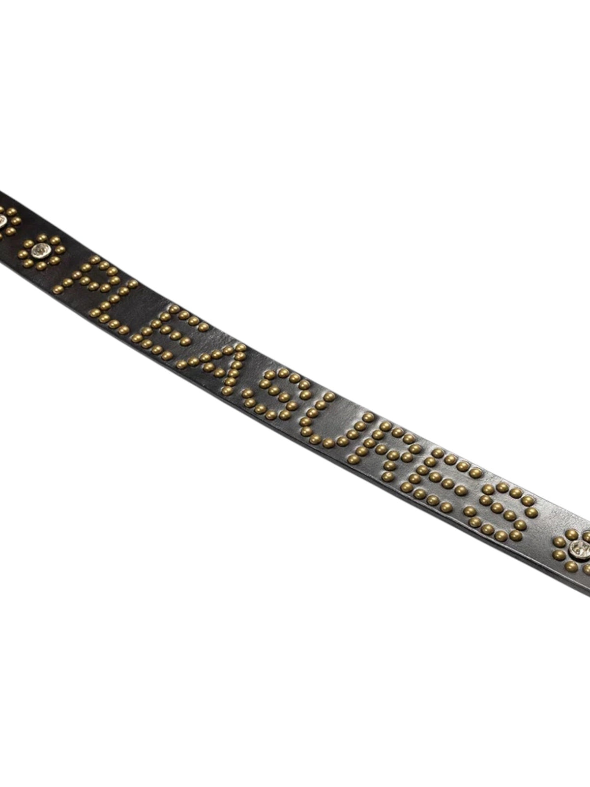 Probus Pleasures P26F039 Pleasures Studded Belt BLK Pleasures P26F039 Pleasures Studded Belt BLK BLACK