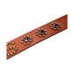 Probus Pleasures P26F039 Pleasures Studded Belt BRN Pleasures P26F039 Pleasures Studded Belt BRN BROWN