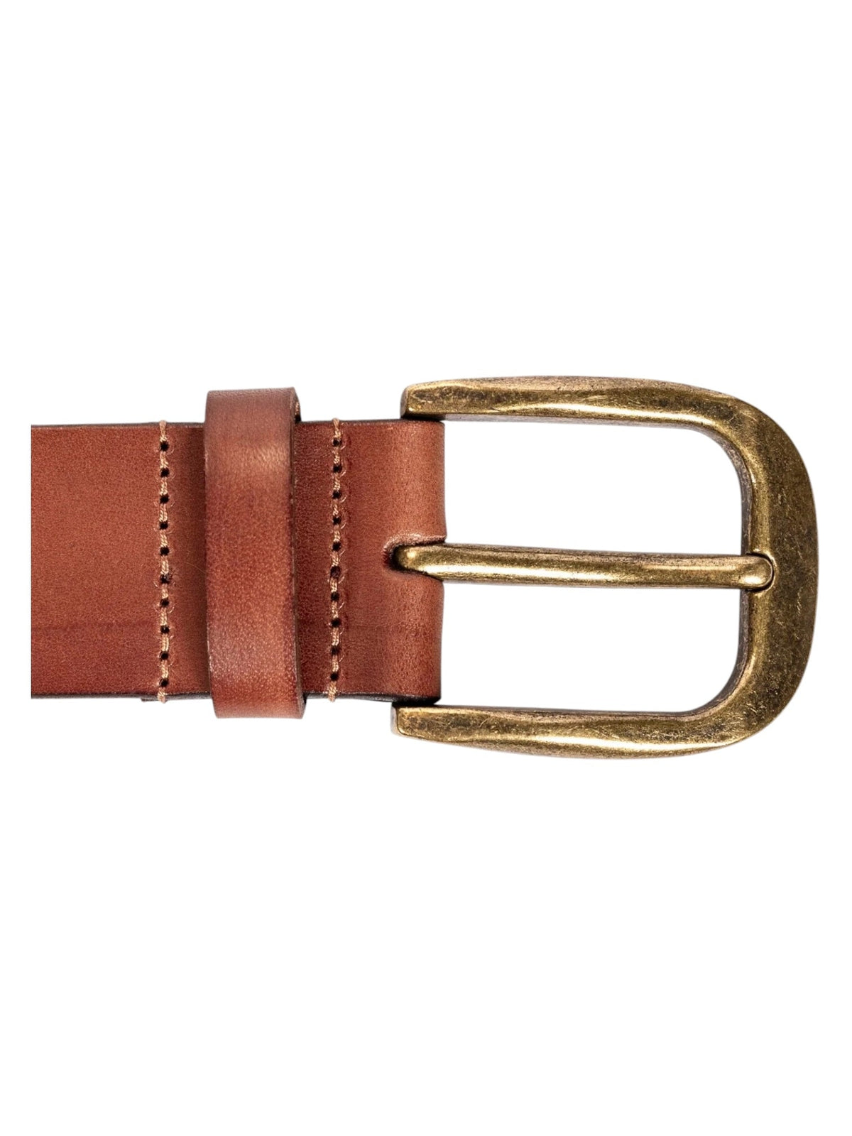 Probus Pleasures P26F039 Pleasures Studded Belt BRN Pleasures P26F039 Pleasures Studded Belt BRN BROWN