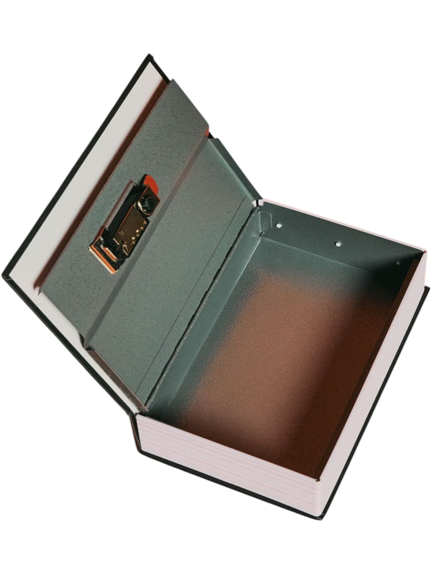 Pleasures Saint Booksafe Black