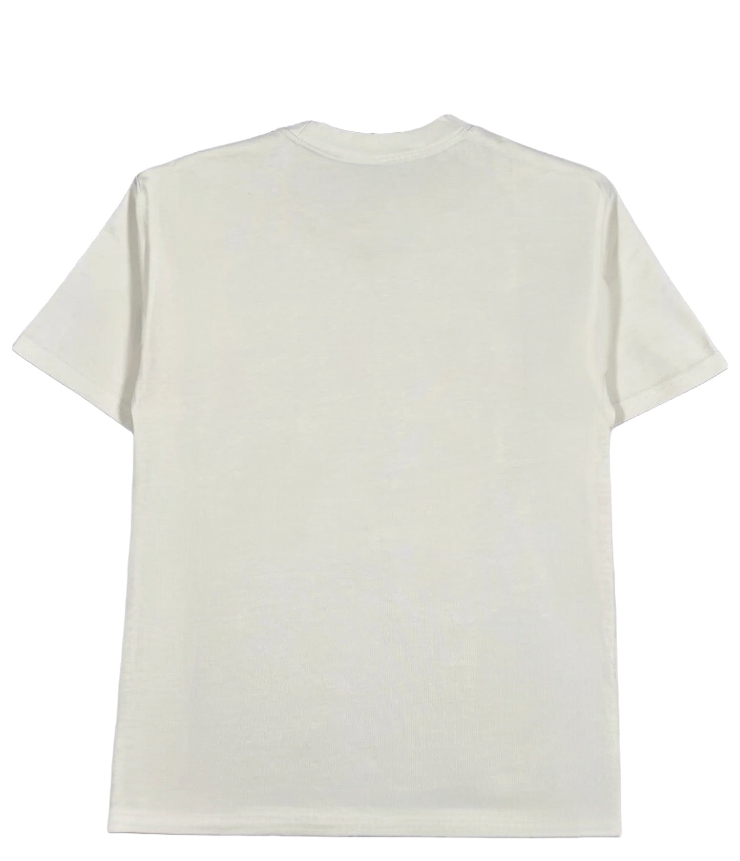 Back view of a PROBUS Probus Frame Tee Cream, an oversized plain tee made from 100% cotton, on a white background.
