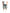 Purple Brand P070-CYWL826 Cyanine Jewel Long Shorts Indigo