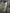 Probus Represent INM4135-46 Initial Wide Leg Sweatpants Camo Represent INM4135-46 Initial Wide Leg Sweatpants Camo CAMO