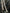 Probus Represent INM4135-46 Initial Wide Leg Sweatpants Camo Represent INM4135-46 Initial Wide Leg Sweatpants Camo CAMO
