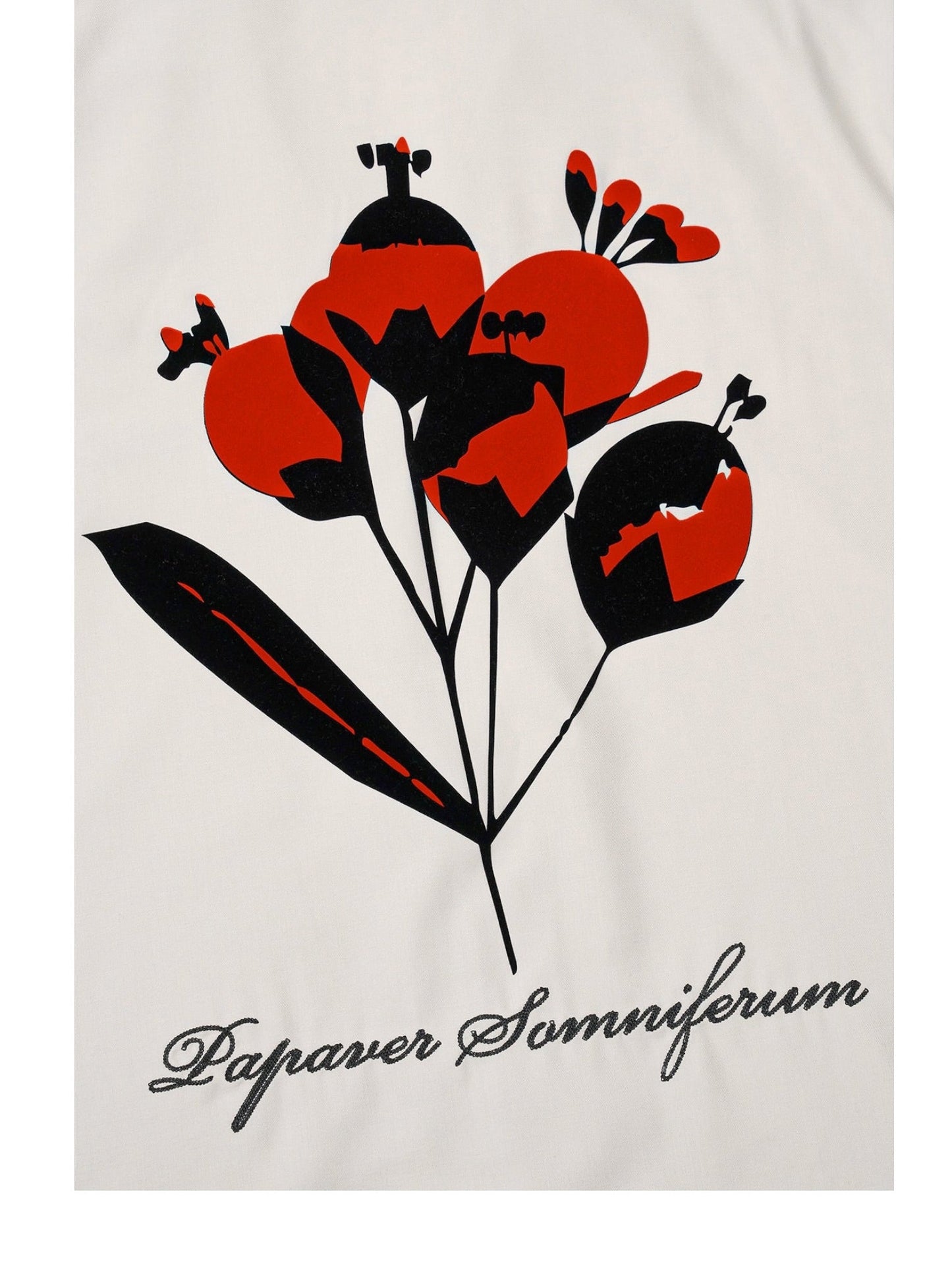 Rta Nathan Oversized Shirt Beige Poppy