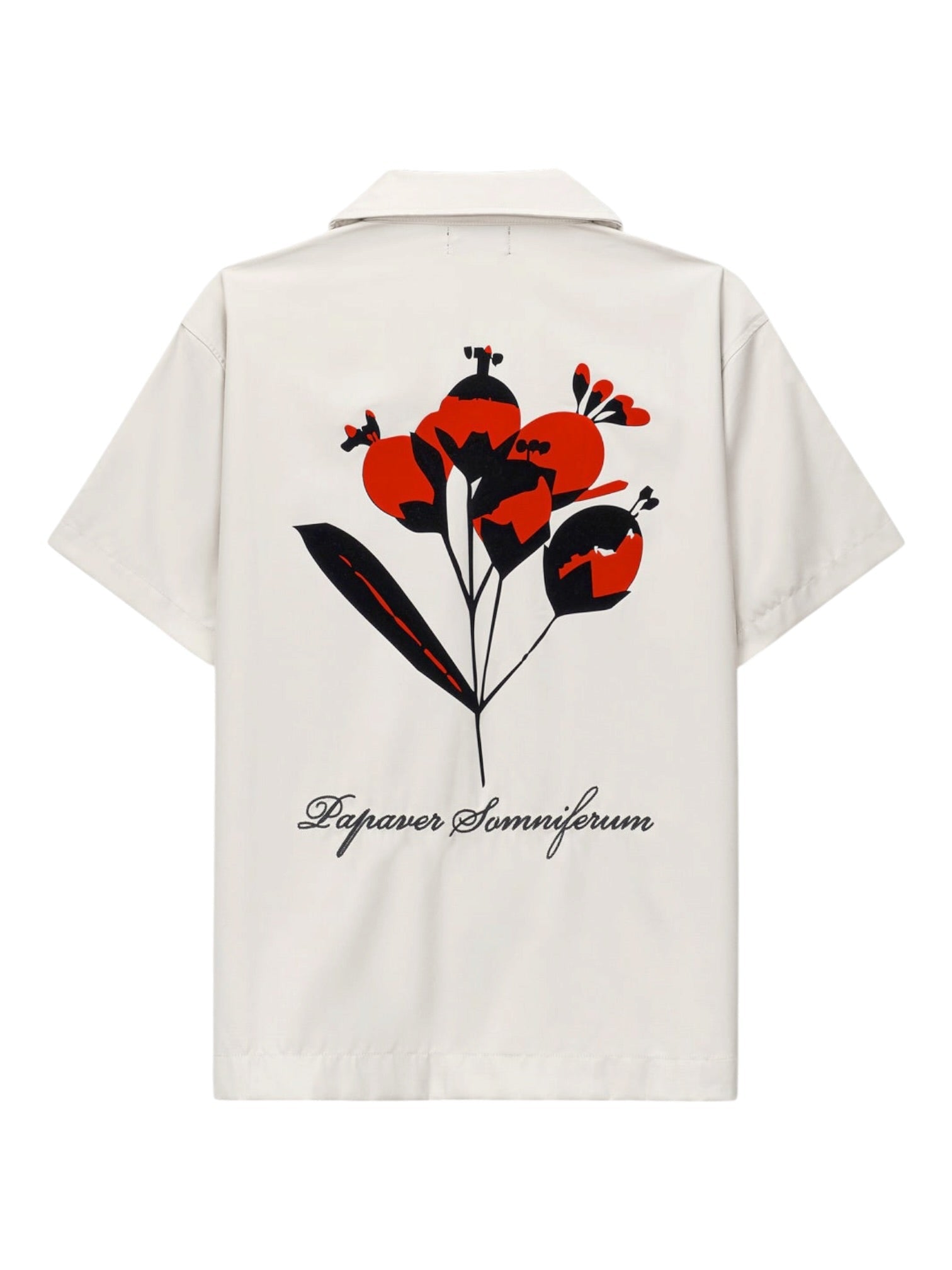 Rta Nathan Oversized Shirt Beige Poppy - Probus