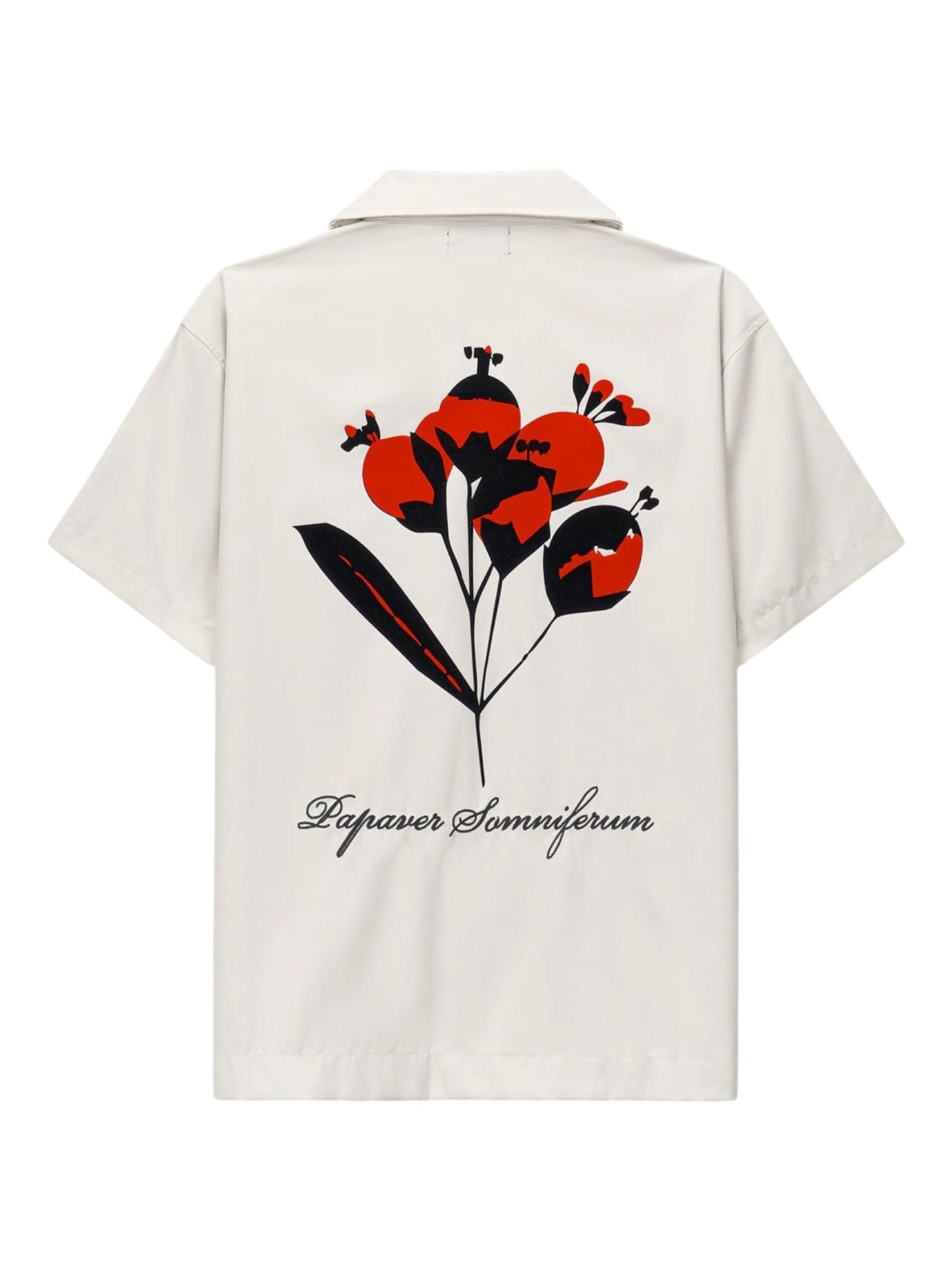 Rta Nathan Oversized Shirt Beige Poppy