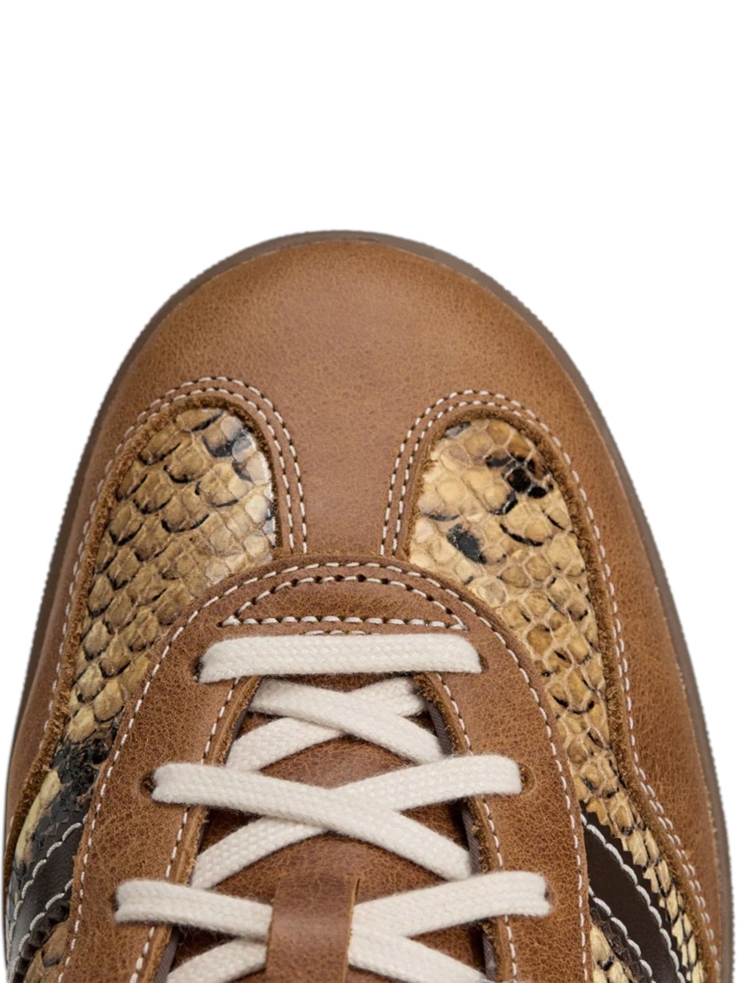 Wales Bonner X Adidas KK3641 WB Gazelle Snake Dusrus/WonWhi