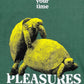 The Pleasures Your Time T-shirt in green features two yellow tortoises mating, with "take your time" above and "PLEASURES" below, delivering bold style from the PLEASURES brand.
