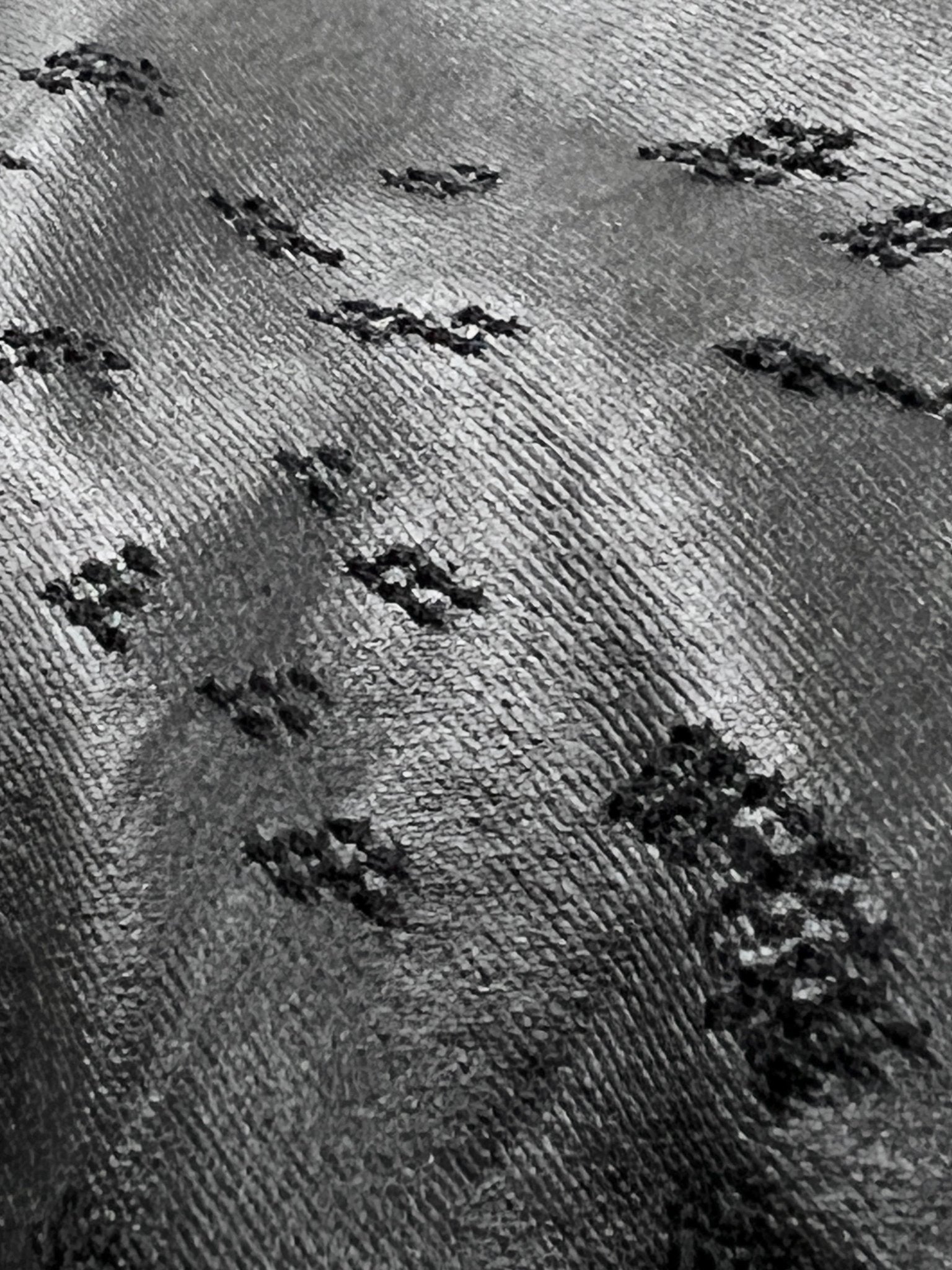 RH45 OD04 Y LUPINE DENIM SKINNY WAX COATED BLACK - Probus