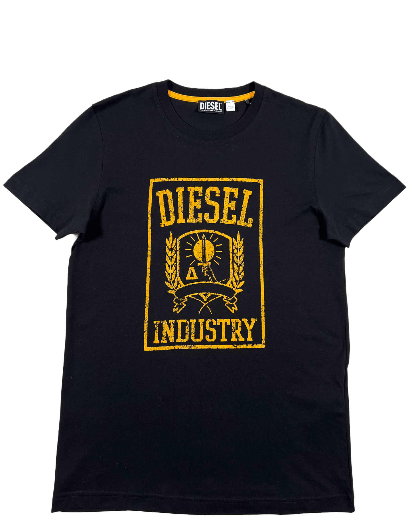 Black DIESEL T-DIEGOR-E10 t-shirt.